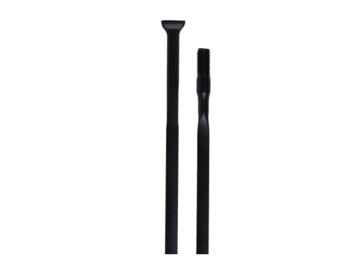 RADIO CAMPAGNOLO SHAMAL WH-105SHB NEGRO DELANTERO 279.2